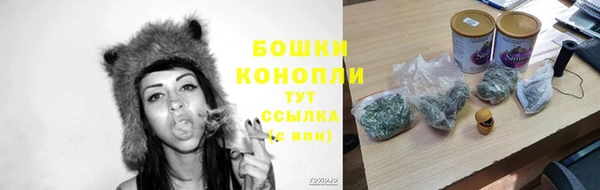 прущий лед Ельня