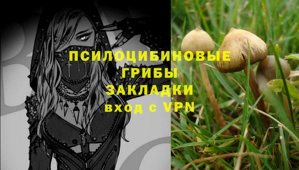 винт Елабуга
