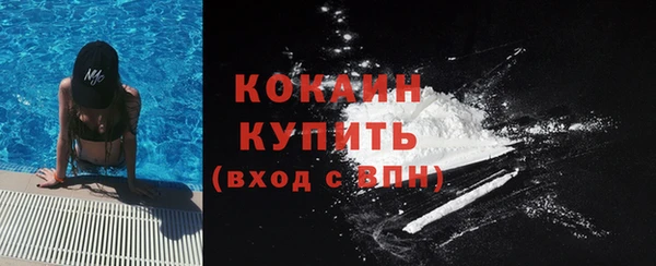 прущий лед Ельня